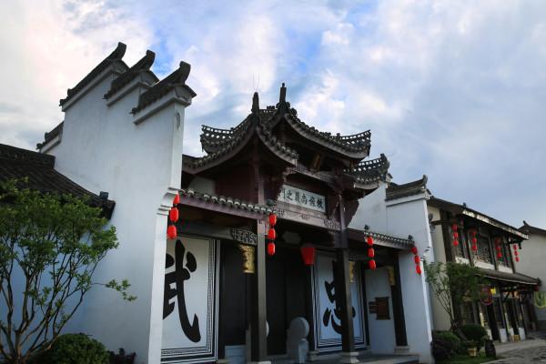 变异动物之战